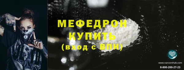 прущие грибы Сосновый Бор