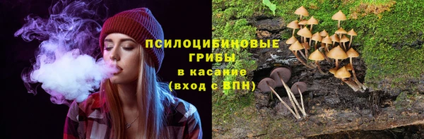 spice Алексеевка