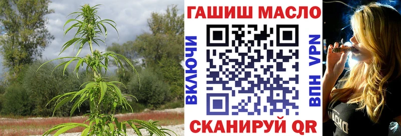 мориарти телеграм Волхов ТГК жижа