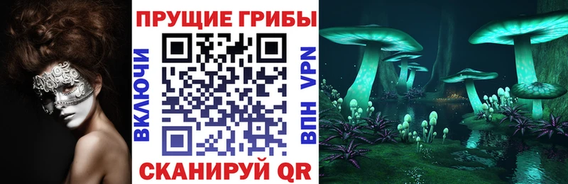 даркнет сайт  Волхов  kraken онион  Псилоцибиновые грибы Cubensis 
